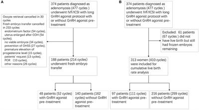 Impact of Gonadotropin-Releasing Hormone Agonist Pre-treatment on the Cumulative Live Birth Rate in Infertile Women With Adenomyosis Treated With IVF/ICSI: A Retrospective Cohort Study